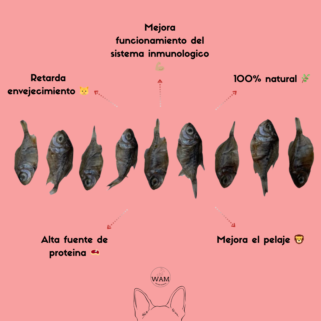 PECES