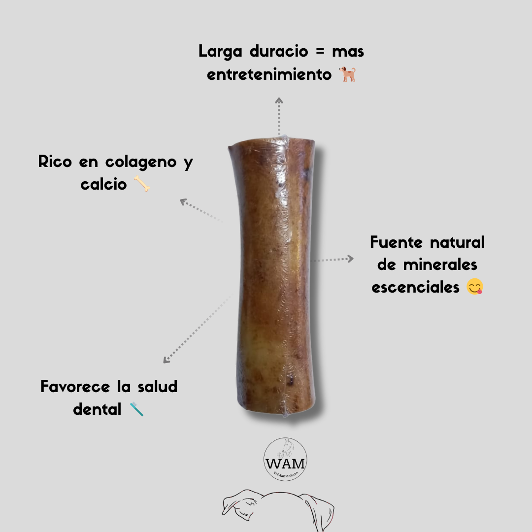 HUESO DE RES - 15cm WAM