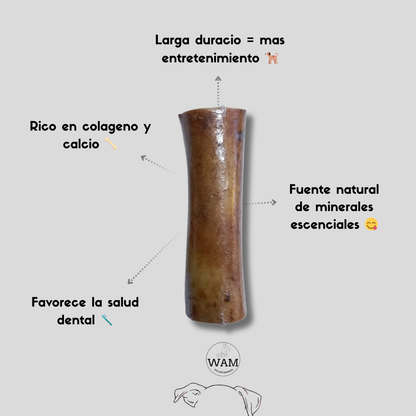 HUESO DE RES - 15cm WAM