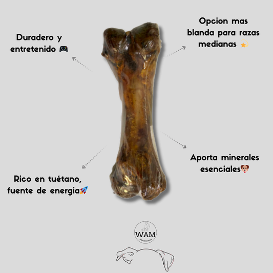 FEMUR DE CERDO WAM