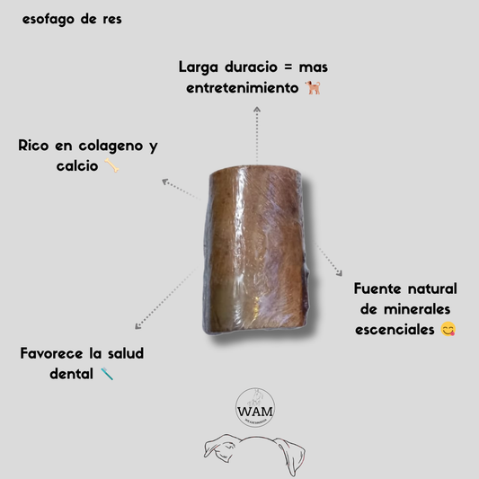 HUESO DE RES - 7cm WAM