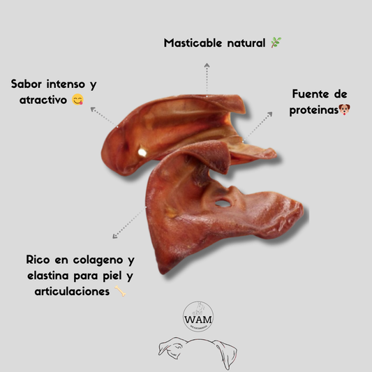 OREJA DE CERDO WAM