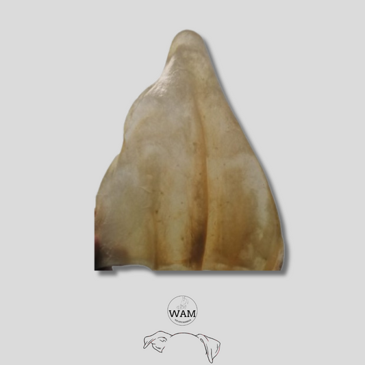 OREJA DE RES - WAM X2 UNIDADES