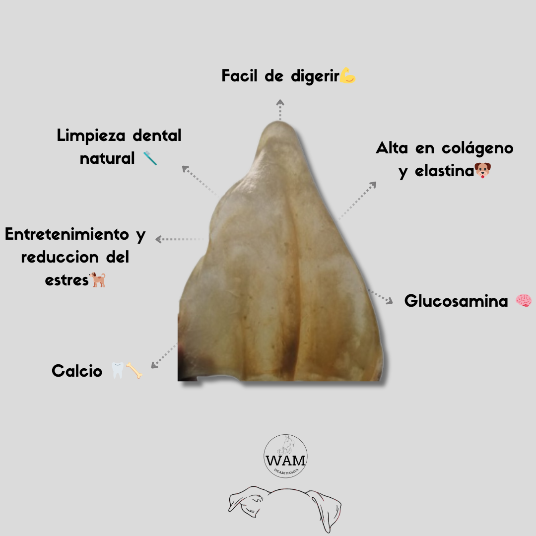 OREJA DE RES - WAM X2 UNIDADES