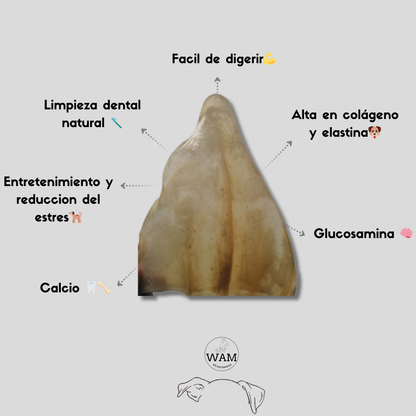 OREJA DE RES - WAM X2 UNIDADES