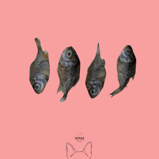 PECES